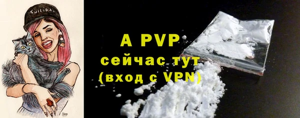 стафф Волоколамск