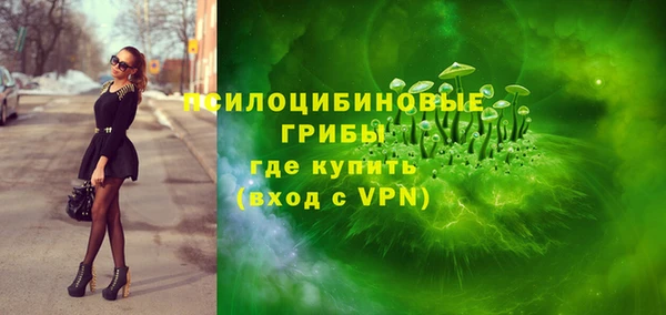 хмурый Волосово
