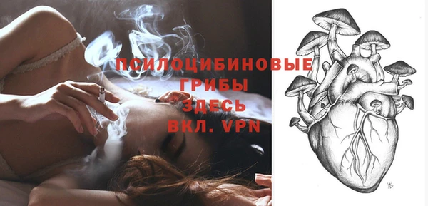 прущая мука Вязники